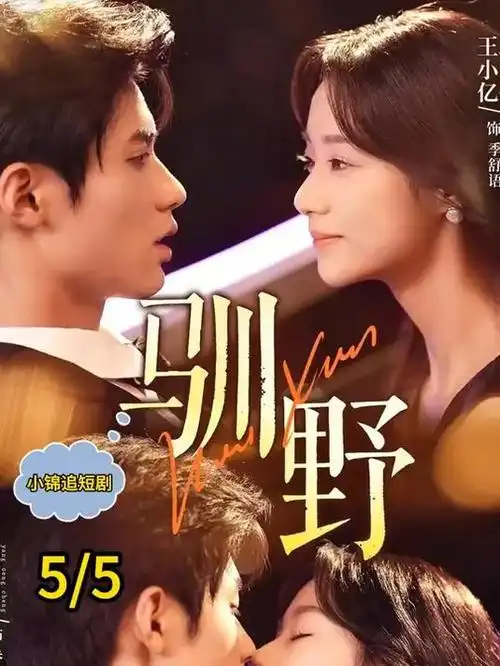 十七楼的灯电视剧在线观看